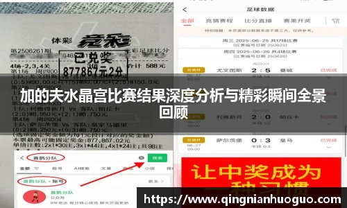 加的夫水晶宫比赛结果深度分析与精彩瞬间全景回顾